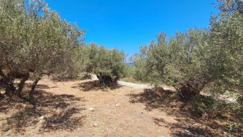 Plaka bei Chania MIT VIDEO: Kreta, Plaka: Erstklassige Grundstück in Plaka – Meerblick und zentrale Lage Grundstück kaufen